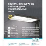 Светильник уличный линзованный светодиодный ДКУ-2UB 50Вт 230В 5000К 6250лм 125лм/Вт универсальный IP65 NEOX 4690612057415