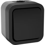 Переключатель одноклавишный TORS 10А IP55 графит