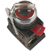 Переключатель AKS-22-2 с ключом 2 позиции I-O черный