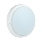 Светильник светодиодный ДПО 4006 12 Вт IP54 6500K круг белый