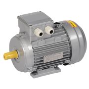 Электродвигатель трехфазный АИР 71A2 380В 0,75кВт 3000об/мин 1081 DRIVE