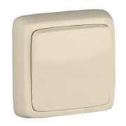Выключатель одноклавишный наружный с изоляционной пластиной слоновая кость 10А