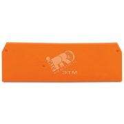 Пластина торц. и промежут.