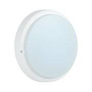 Светильник светодиодный ДПО 4007 15 Вт IP54 6500K круг белый